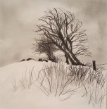 20180323_195902_resized_1